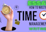 seo optimized article and blog post for your website